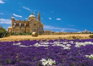 From Malta: Gozo Full-Day Tour with Guide, Temples, & Train - Victoria’s Citadella: fortified walls, old prison, and the best views for walking breaks