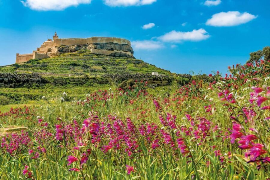 From Malta: Gozo Jeep Tour with Lunch and Transfers - Dwejra Bay and the Inland Sea Boat Trip Option