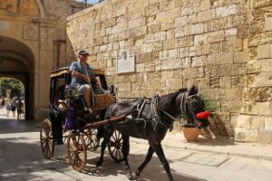 Half Day Shared Tour in Malta - Blue Grotto Il-Hnejja: Optional Boat Time and What to Bring
