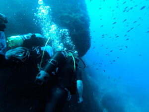 Malta: First Experience Scuba Diving Lesson - The 2.5–3.5 Hour Flow: From Forms to Underwater Control