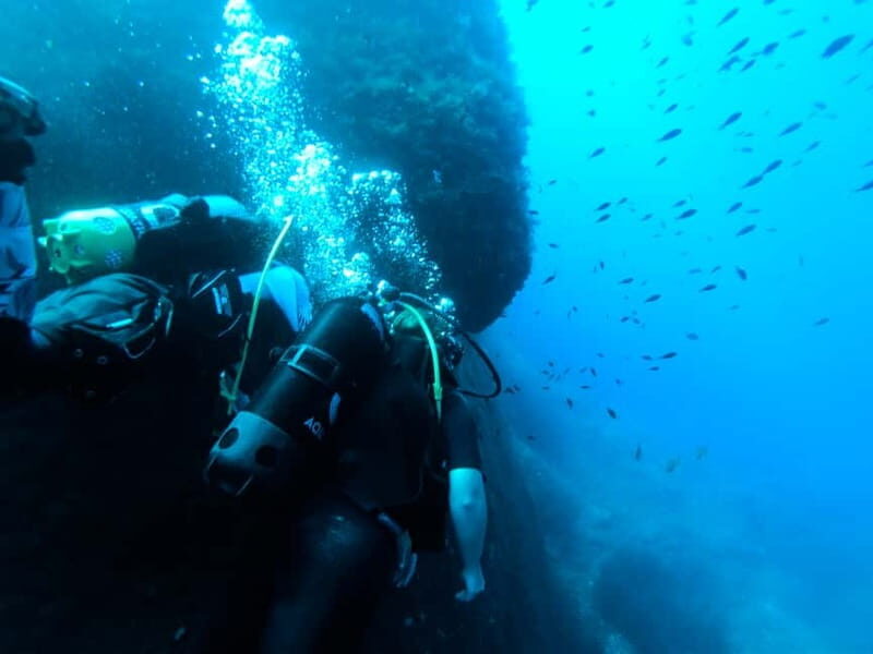Malta: First Experience Scuba Diving Lesson - The 2.5–3.5 Hour Flow: From Forms to Underwater Control