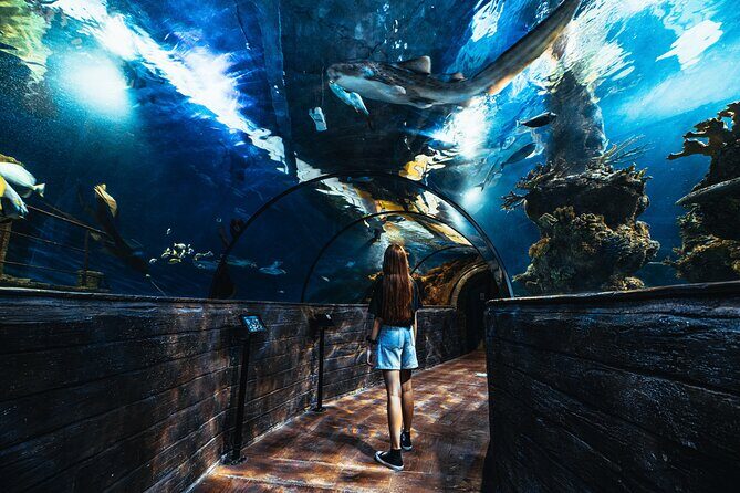 Malta National Aquarium Entrance Ticket - Tickets, Price, and Timing Without the Fuss