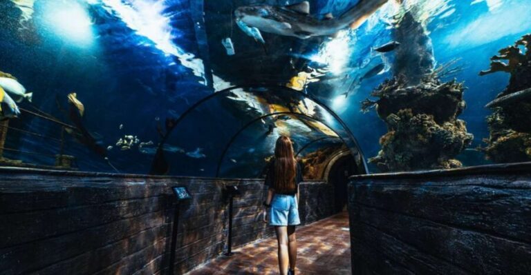 St Paul's Bay: Malta National Aquarium Entry Ticket - The walk-through tunnel: the main tank’s best moment