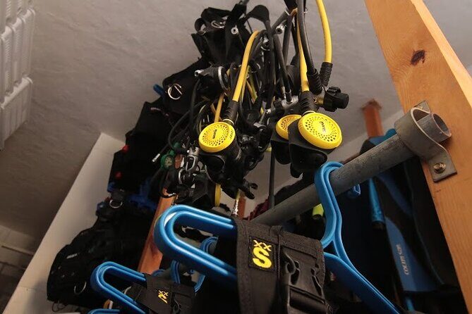 Two Morning Dives in Gozo for Certified Diver - A safety briefing that sets expectations without turning it into a classroom