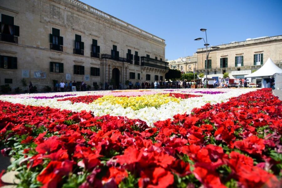 Valletta: Guided City Walking Tour - The Guides: Why the Storytelling Is the Whole Point